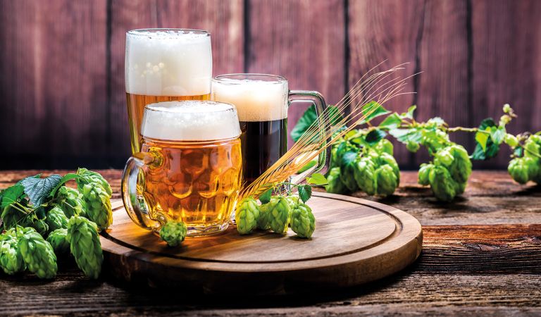Bild - FOKUS | Die Welt der Biere
