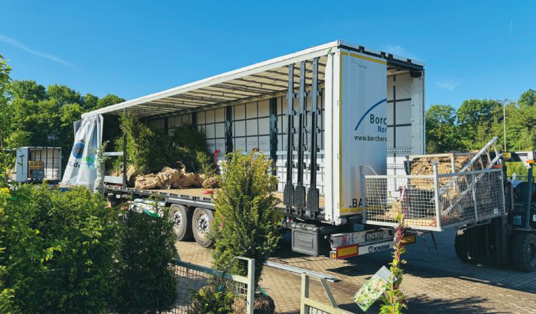 Bild - Wenn BÃ¤ume reisen ... mit Bruns und Borchers