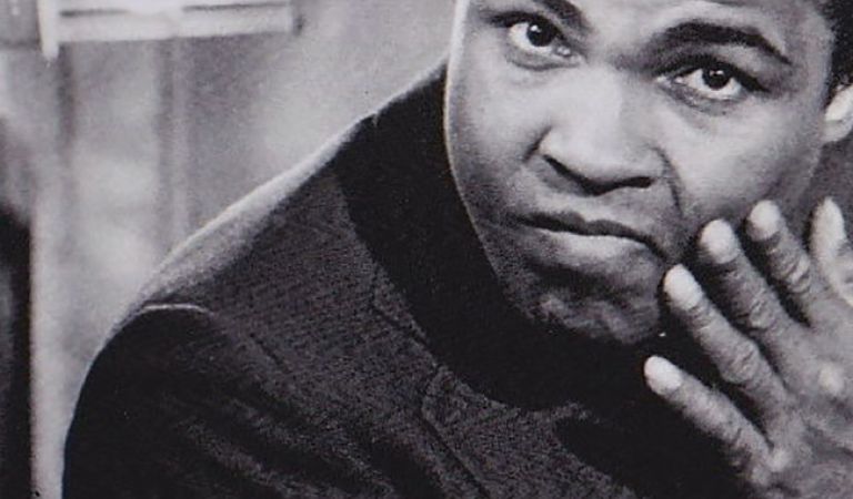 Bild - Die zweite BlÃ¼te