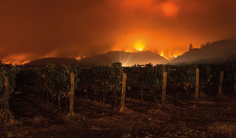 Bild - Fokus - Wettlauf gegen die Zeit