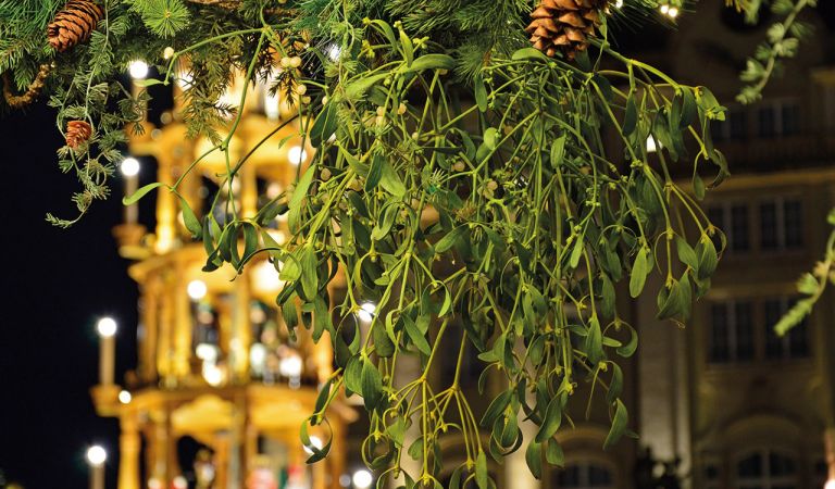 Bild - Nirgends kÃ¼sst es sich schÃ¶ner