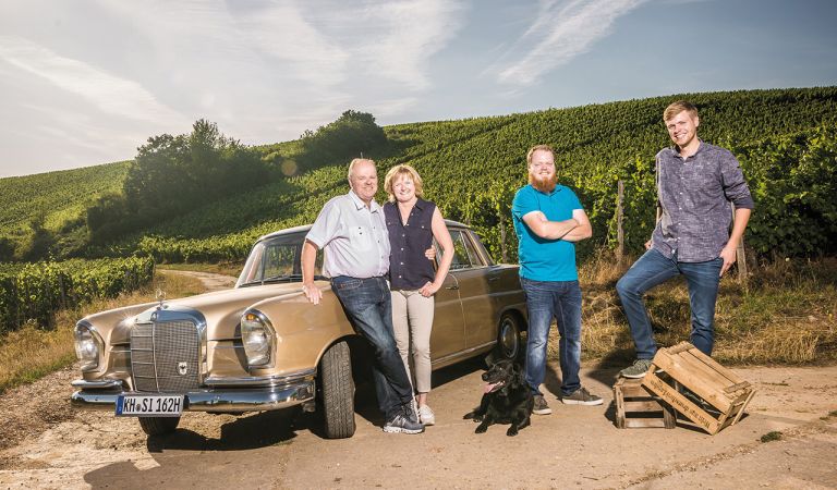 Bild - â€žMan muss seine Weinberge kennen und verstehenâ€œ